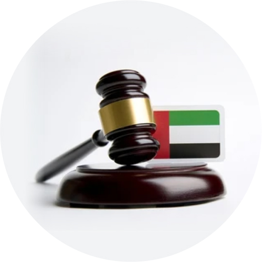 Interpol Lawyers UAE, Dubai