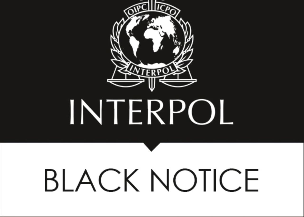 Interpol Red Notice Removal & Protection Without Driving Yourself Crazy