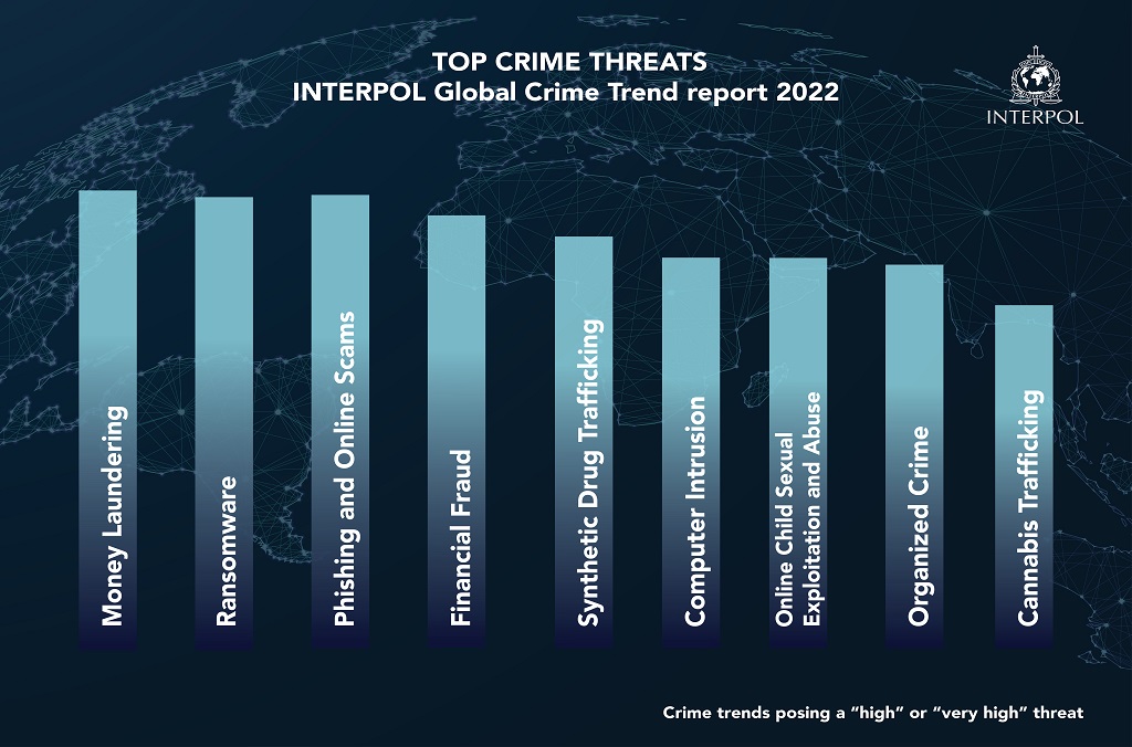 Interpol Crimes list