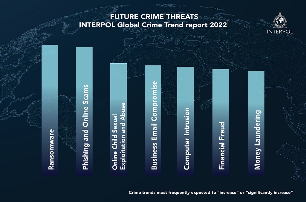 Interpol Crime List